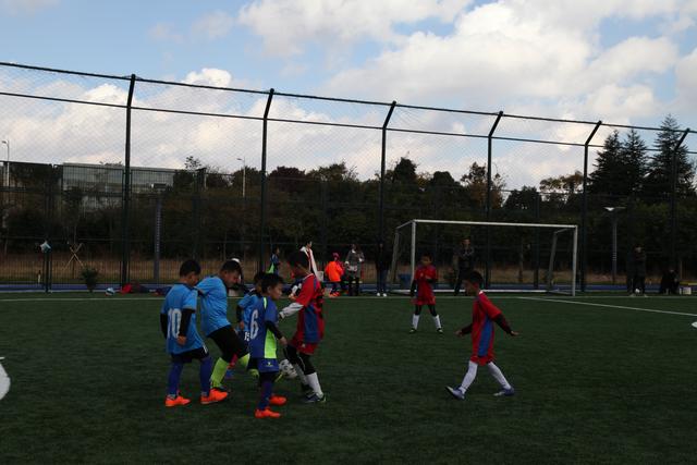 59岁教练肖恩·爱德华兹重返阿根廷队，签约至2027年世界杯